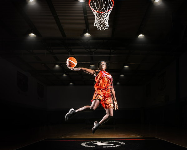 展的机会 展的机会