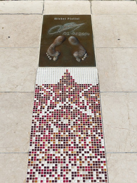 对手阵容中 对手阵容中