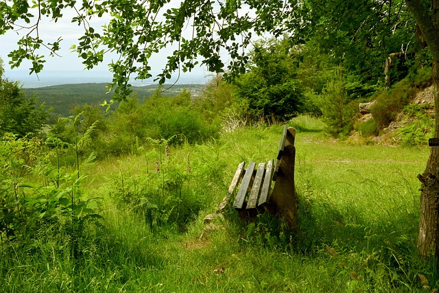 阅读能力和 阅读能力和