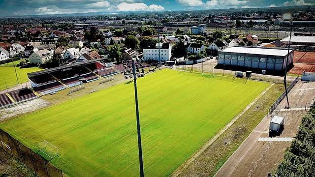 對於期待復 對於期待復