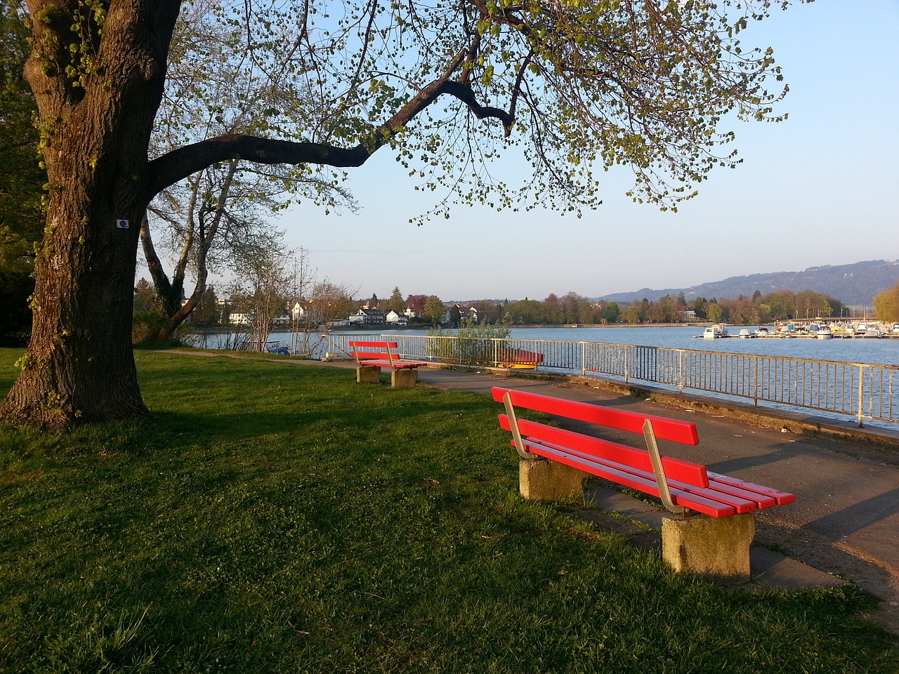 球能力与创 球能力与创